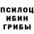 Галлюциногенные грибы GOLDEN TEACHER NAJEE Official
