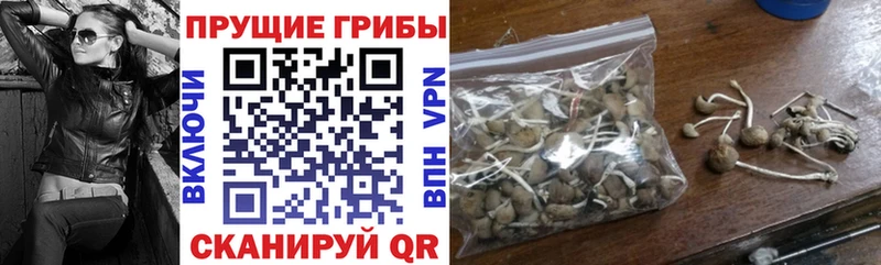 Галлюциногенные грибы мицелий Кстово
